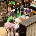 Aerial view of a table and museum cabinets with researchers and children looking at objects