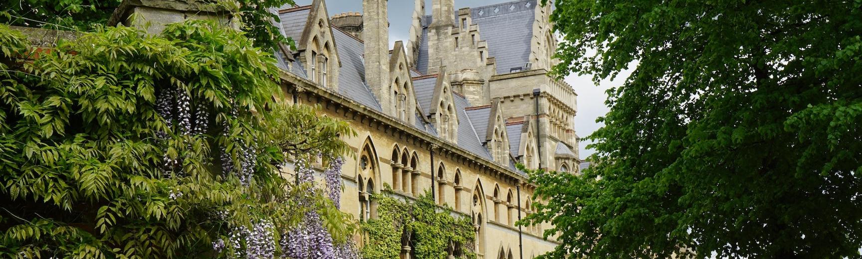 A picture of a garden with flowering purple wisteria cascading over other green plants with a large tall sandstone college building in the background, built in the neo-gothic style.