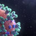 Visualisation of the Covid-19 virus