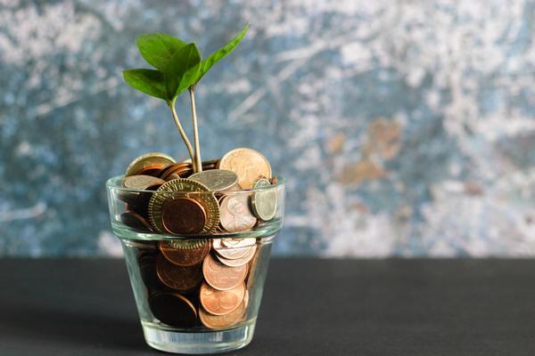 A small green plant emerges from a small jar filled with coins from different 