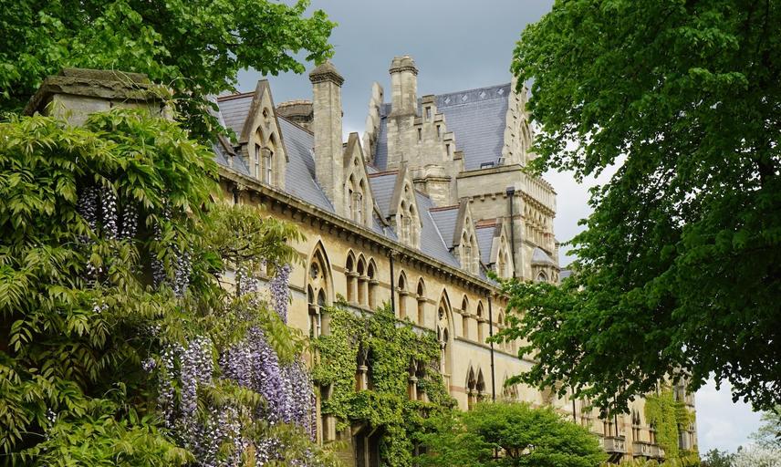 A picture of a garden with flowering purple wisteria cascading over other green plants with a large tall sandstone college building in the background, built in the neo-gothic style.