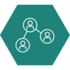 RIE Strategy Aim 2 hexagon